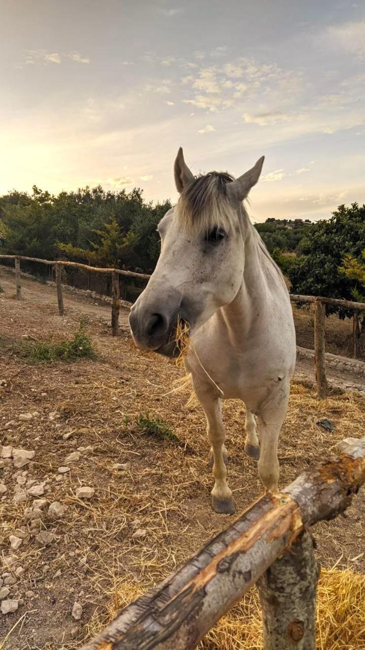 Roba Albanisi Hotel Aragona Kültér fotó